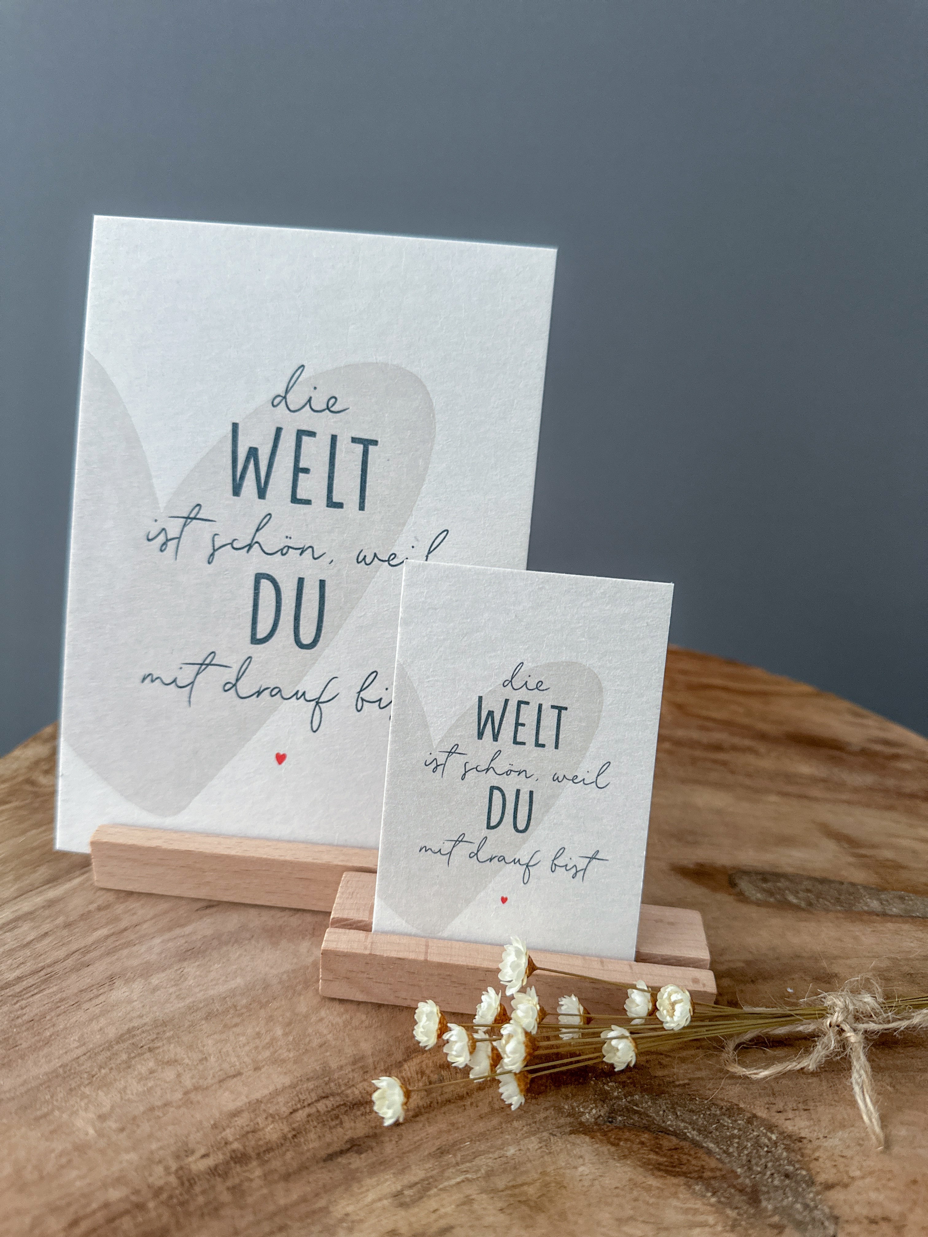Unsere Minis